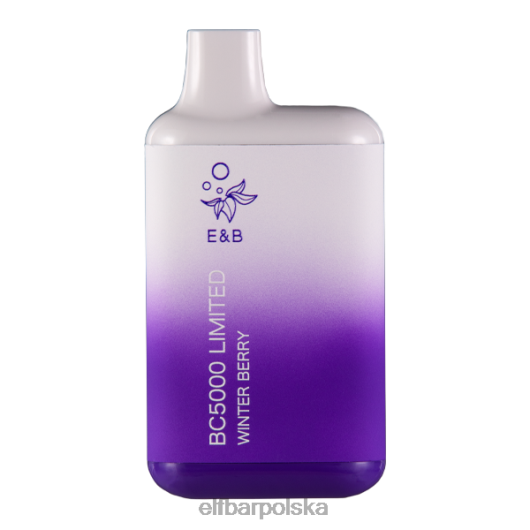 ELFBAR jagoda zimowa bc5000 konsumpcyjna - 50mg - pojedyncza 2H2D48
