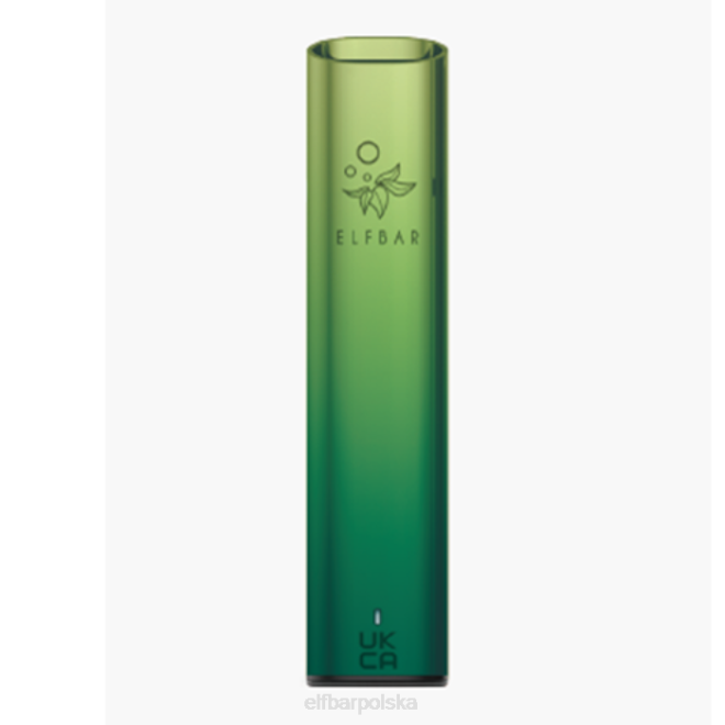 Zestaw do waporyzacji elfbar mate 500 z baterią 500 mAh 42RP137 zorza zielona